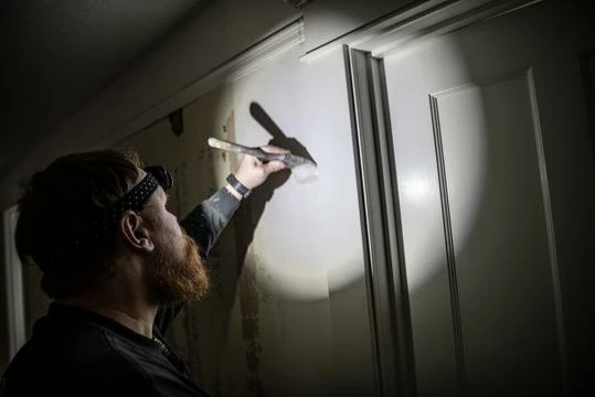 Coast Products Coast® FL75 Dual Color Pure Beam Focusing LED Headlamp - 435 Lumens - 143M Beam 5 Coast Products Coast® FL75 Dual Color Pure Beam Focusing LED Headlamp - 435 Lumens - 143M Beam